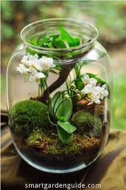 How Does A Terrarium Work Learn More About Terrariums Terrarium Ideas The Dif Moja Strona Beautiful Terrariums Mini Garden Orchid Care