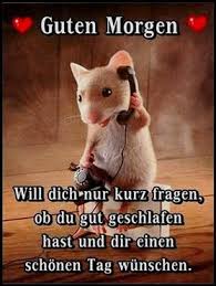 Verwechsle nicht deine knie und deine brust. Guten Morgen Lustig Gif Gb Bilder Gb Pics Gastebuchbilder Guten Morgen Witzig Guten Morgen Lustig Lustige Guten Morgen Bilder