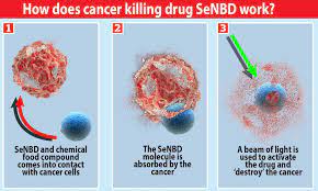 Family might come with some added pressure, especially coming from someone you might not have seen in a while now. Successful Test Of Cancer Killing Trojan Horse Offers Hope For End To Chemotherapy Daily Mail Online