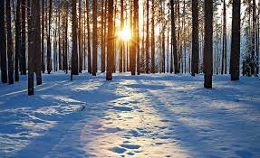 Figurado (vejez, últimos años) (old age, figurative) winter n noun: Llega El Invierno La Publicidad Periodico De Publicidad Comunicacion Comercial Y Marketing