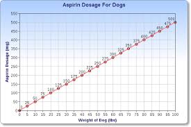 Aspirin For Dogs What You Need To Know