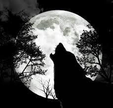 Shop for wolf silhouette wall art from the world's greatest living artists. The Full Wolf Moon 9th January 12 Wolf Silhouette Wolf Moon Wolf Howling