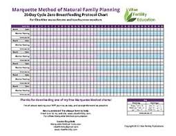 Free Marquette Method 20 Day Breastfeeding Protocol Chart