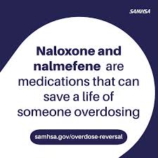 Image result for Nalmefene