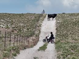 Had a great time riding with my bro Jeremy Schow today. We explored the  dirt roads around eureka and the tintic mines.