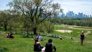 Trinity bellwoods park on may 23, 2020 as posted on dr. It S Selfish Officials Disappointed To See Large Crowds At Downtown Toronto Park Amid Pandemic Cp24 Com