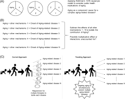 She is overwhelmed by the responsibilities she has during the holidays. Aging Mechanisms A Perspective Mostly From Drosophila Tsurumi 2020 Advanced Genetics Wiley Online Library