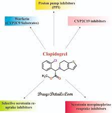 Clopidogrel Drugs Details