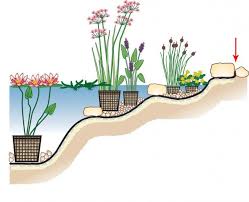 Teichfolie Locher Finden Und Abkleben Gartenteich Bepflanzen Gartenteich Wasserpflanzen