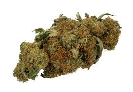 Check spelling or type a new query. Effects Of Cannabis Wikipedia