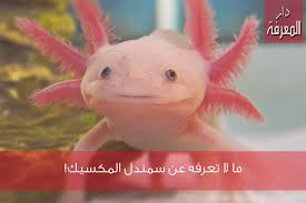 ماذا تعلم عن عفريت الماء بالعربيك