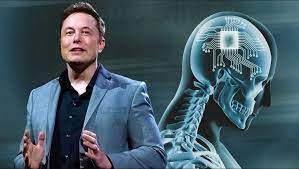 ELON MUSK'S BRAIN CHIP COMPANY RECEIVES US APPROVAL FOR HUMAN TESTING - The Blup