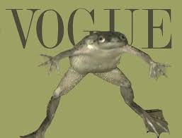They Tried To Put Me On The Cover Of Vogue Pin On Froges