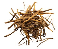 Image result for Cryptolepis