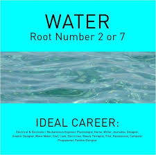 Career Path Characteristics Of People With Water Element What Kind Of Careers Or Business Are Most Suitable Fo Numerology Numbers Numerology Number Meanings