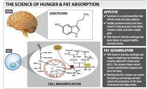 Pin On Infographics Food And Drinks