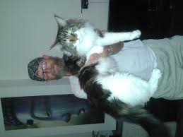 Use them in commercial designs under lifetime, perpetual & worldwide rights. Why Are My Kittens Still Small They Are 4 5 Months Old And Still Tiny My Other Two Cats Were The Same Size As They Are Now At That Age Quora