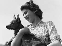 Queen Elizabeth Grosse Trauer Um Letzten Corgi Willow Liebenswert Magazin