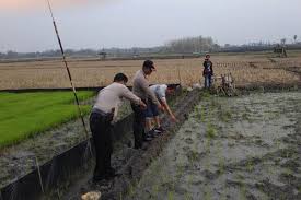 Temukan info lowongan pekerjaan menarik dan terbaru agustus 2021 di ngawi hanya di jobs.id. Petani Ngawi Tewas Tersengat Listrik Jebakan Tikus Yang Dipasang Sendiri Madiunpos Com News Madiunpos Com