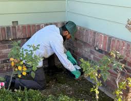 Best Pest Control in Santa Clarita - Guardup Pest Control