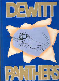 Clinton Co Archives Photo Album