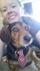 Abbey Robbins-Lilley (@absofnotsteel)