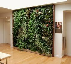 Grandfolia Interior Plantscapes Service Interior Plants Interior Concept Indoor Gardens