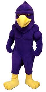 Here S The Hawk Mascot We Made For Hunter College Mascot Design Mascot Hunter College