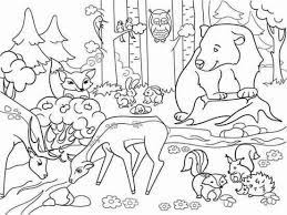 Pin By Leticia Urquiza On Ovoda Animal Coloring Pages Coloring Pages Animal Coloring Books