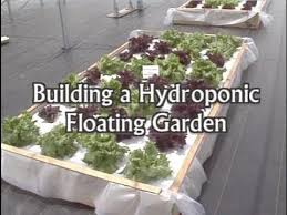 A Step By Step Tutorial On Building A Floating Hydroponic Garden Provided By The University Of Florida Ifas E Hydroponic Gardening Hydroponics Diy Hydroponics