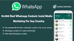 Animation producers email or whatsap contact. Create For You 10k Whatsapp Contacts For Social Media Marketing By Hamzea Fiverr