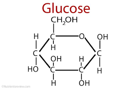 Glucose Google Search Glucose Structural Formula Molecular