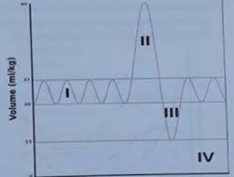 Hallo sobat rumuscoid kesempatan kali ini kami akan membahas artikel materi soal olimpiade ipa smp pada tingkat nasional yang dilengkapi dengan. Soal Dan Jawaban Osn Ipa Smp 2019 Tingkat Kabupaten Bagian Biologi Folder Ksn
