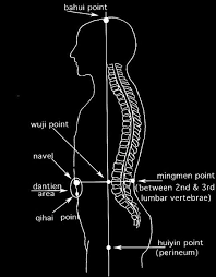 Maybe you would like to learn more about one of these? Perceive Believe The Idiot S Guide To Taoist Alchemy Qigong