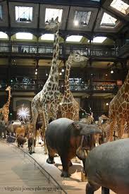 A Visit To The Jardin Des Plantes Would Not Be Complete With A Trip Through The Am Jardin Des Plantes Paris Museum National D Histoire Naturelle Rue Mouffetard