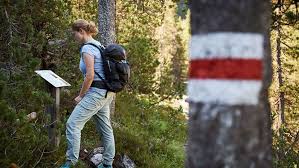 Bärenwald arbesbach der bärenwald arbesbach ist eine auffangstation der tierschutzorganisation vier pfoten für bären in not. Sommerurlaub Im Sportclub In Arosa Lenzerheide