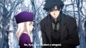 Illya: The Middle Ground Between Shirou And Kiritsugu – The Story Arc