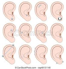 ear piercings different types