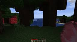 You can possibly be banned on servers outside of 2b2t. Anarchypvp Minecraft Servers Minecraft Servers Listing