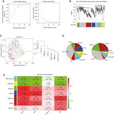 Erek erek belalang bergambar selamat datang di situs kami pada kesempatan kali ini kami akan membagikan info mengenai erek erek belalang dalam buku mimpi 2d 3d maupun 4d disertai kode alam bergambar. Long Non Coding Rna Hcp5 Serves As A Cerna Sponging Mir 17 5p And Mir 27a B To Regulate The Pathogenesis Of Childhood Obesity Via The Mapk Signaling Pathway