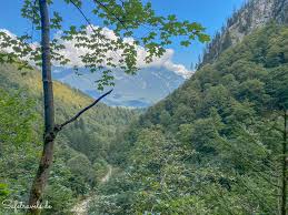 Maybe you would like to learn more about one of these? Wanderung Durch Die Hollentalklamm Zur Hollentalangerhutte
