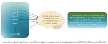 Autism exists on a spectrum, which is why it's currently called autism spectrum disorder (asd). Autism Spectrum Wikipedia