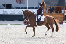 Dutch grade iii para rider sanne voets had to say goodbye to her former medal winning ride, vedet pb. Sanne Voets Paarden Encyclopedie