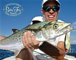 Maybe you would like to learn more about one of these? St Pete Beach Fishing Report
