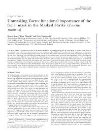 PDF) Unmasking Zorro: Functional importance of the facial mask in the  Masked Shrike (Lanius nubicus)