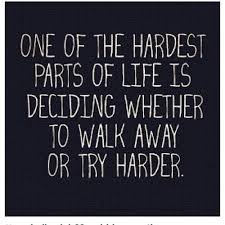 If video is not showing, click here. Funny Quotes About Life Great Quotes To Ponder Upon Quotes Daily Leading Quotes Magazine Database We Provide You With Top Quotes From Around The World