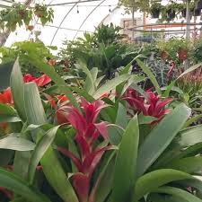 We did not find results for: Jensen S Flower And Garden Home Facebook