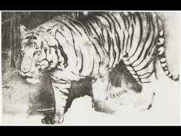 Balinese Tiger