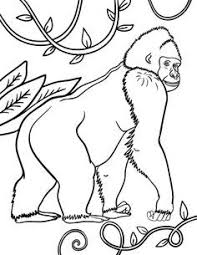 Gorillas are great apes species from the family of hominids. Printable Cute Printable Gorilla Coloring Pages Coloring Pages Ideas