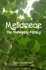 Image result for Meliaceae